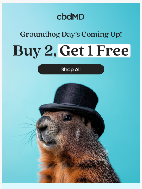 Groundhog Day sale: Buy 2, get 1 free! ͏ ͏ ͏ ͏ ͏ ͏ ͏ ͏ ͏ ͏ ͏ ͏ ͏ ͏ ͏ ͏ ͏ ͏ ͏ ͏ ͏ ͏ ͏ ͏ ͏ ͏ ͏ ͏ ͏ ͏ ͏ ͏ ͏ ͏ ͏ ͏ ͏ ͏ ͏ ͏ ͏ ͏ ͏ ͏ ͏ ͏ ͏ ͏ ͏ ͏ ͏ ͏ ͏ ͏ ͏ ͏ ͏ ͏ ͏ ͏ ͏ ͏ ͏ ͏ ͏ ͏ ͏ ͏ ͏ ͏ ͏ ͏ ͏ ͏ ͏ ͏ ͏ ͏ ͏ ͏ ͏