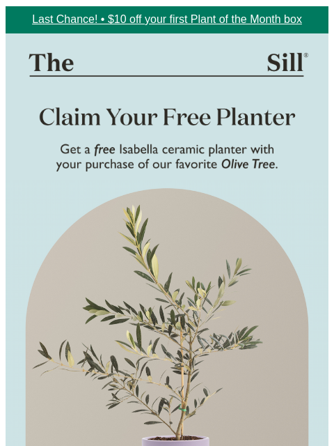 thesill newsletter: Claim Your Free Planter!