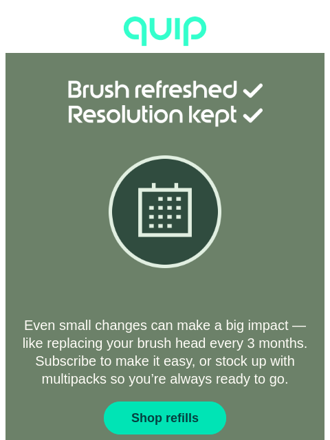 getquip newsletter: Resolution status check 😬😌😃
