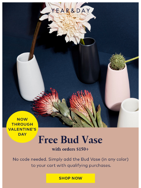 Get a FREE Bud Vase with orders $150+ ͏ ͏ ͏ ͏ ͏ ͏ ͏ ͏ ͏ ͏ ͏ ͏ ͏ ͏ ͏ ͏ ͏ ͏ ͏ ͏ ͏ ͏ ͏ ͏ ͏ ͏ ͏ ͏ ͏ ͏ ͏ ͏ ͏ ͏ ͏ ͏ ͏ ͏ ͏ ͏ ͏ ͏ ͏ ͏ ͏ ͏ ͏ ͏ ͏ ͏ ͏ ͏ ͏ ͏ ͏ ͏ ͏ ͏ ͏ ͏ ͏ ͏ ͏ ͏ ͏ ͏ ͏ ͏ ͏ ͏ ͏ ͏ ͏ ͏ ͏ ͏ ͏ ͏ ͏ ͏ ͏ ͏