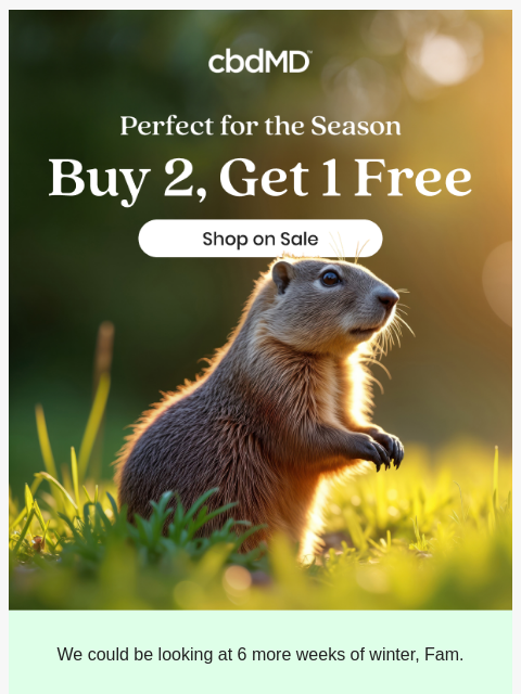 Prepare for a longer winter with buy 2, get 1 free ͏ ͏ ͏ ͏ ͏ ͏ ͏ ͏ ͏ ͏ ͏ ͏ ͏ ͏ ͏ ͏ ͏ ͏ ͏ ͏ ͏ ͏ ͏ ͏ ͏ ͏ ͏ ͏ ͏ ͏ ͏ ͏ ͏ ͏ ͏ ͏ ͏ ͏ ͏ ͏ ͏ ͏ ͏ ͏ ͏ ͏ ͏ ͏ ͏ ͏ ͏ ͏ ͏ ͏ ͏ ͏ ͏ ͏ ͏ ͏ ͏ ͏ ͏ ͏ ͏ ͏ ͏ ͏ ͏ ͏ ͏ ͏ ͏ ͏ ͏