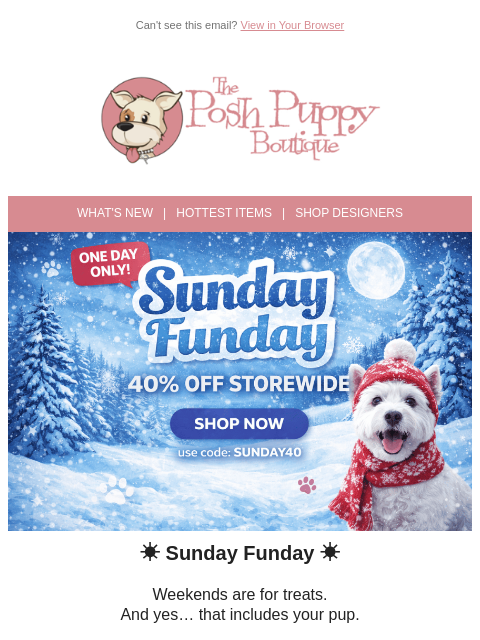 poshpuppyboutique newsletter: Sunday Funday 🐾 40% OFF Today Only
