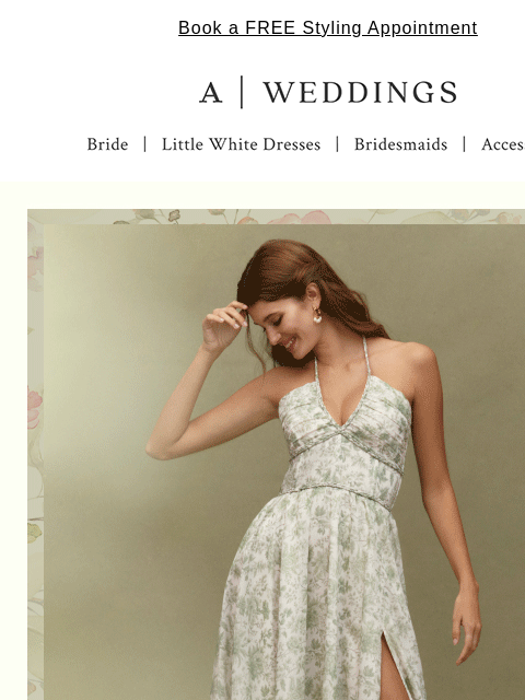 anthropologie newsletter: Regency-era romance from V. Chapman