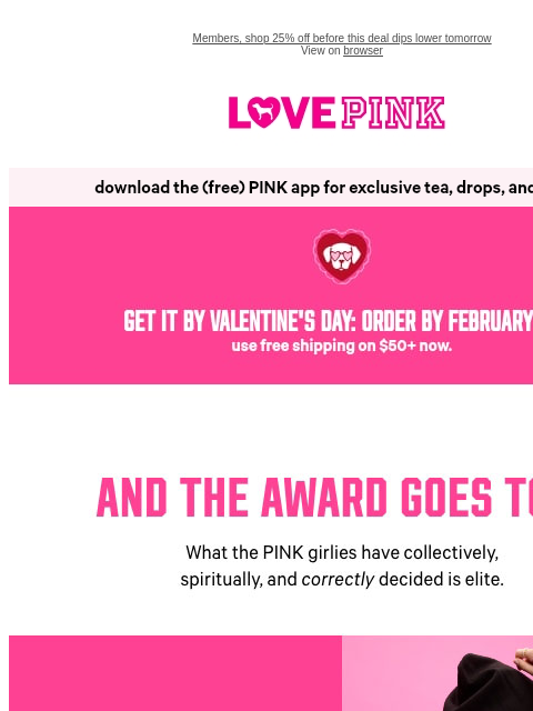 vspink newsletter: PINK's Best of the Best 🏆