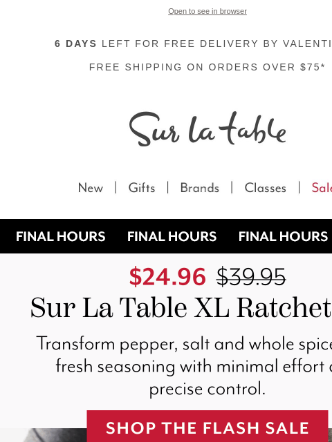 surlatable newsletter: Ends tonight: Top-rated Ratchet Mills for $24.96!