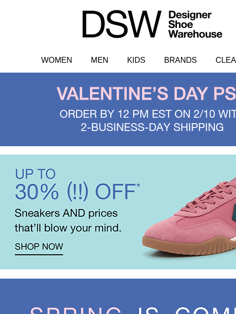 dsw newsletter: Spring is coming (we promise)🌷🌼☀️