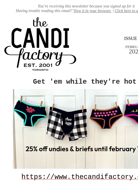 createsend7 newsletter: Until Feb.14th…25% off undies & briefs!