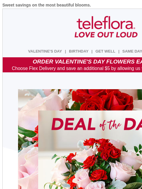 teleflora newsletter: Enjoy A Sweetheart Deal 💗 25% Off Now