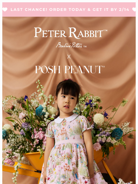 poshpeanut newsletter: 🥕🐇 PREVIEW: Peter Rabbit™ x Posh Peanut