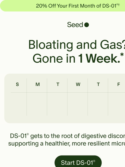 seed newsletter: Feel lighter, faster.