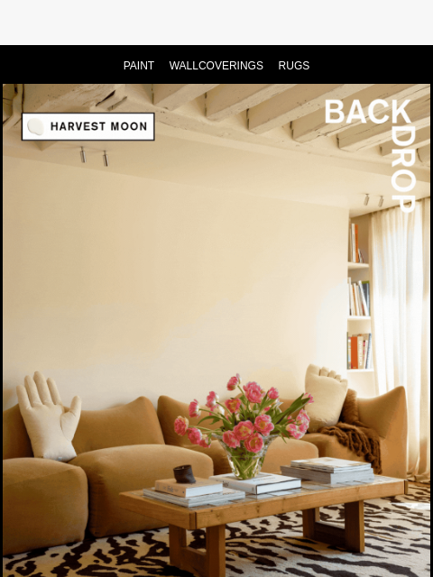 backdrophome newsletter: A STRONG CASE FOR A WARM WHITE