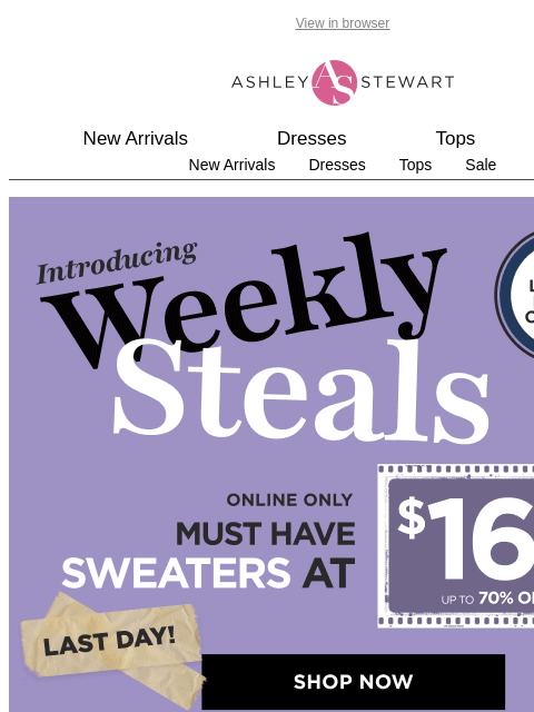 ashleystewart newsletter: ⏳LAST DAY for this weekly steal! $16.99 Sweaters