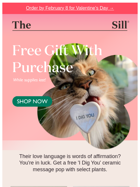 thesill newsletter: Free Gift With Purchase 💘