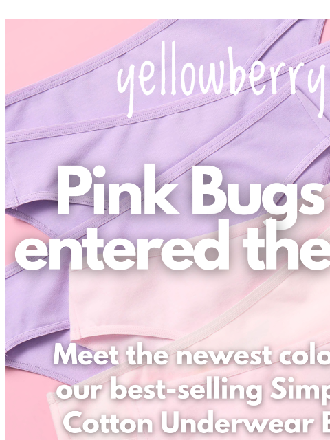 yellowberrycompany newsletter: Meet Pink Bugs 💗