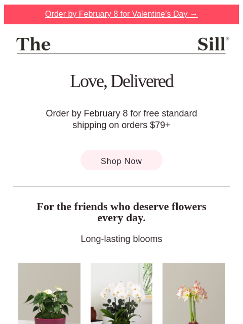 thesill newsletter: One week away! Order today for Valentine's Day!