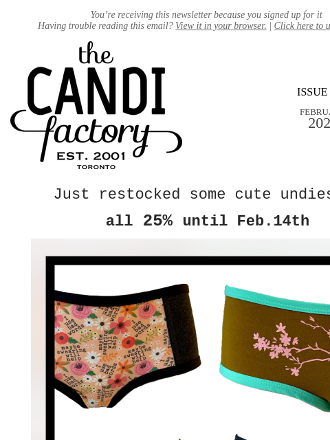 createsend7 newsletter: Just restocked…all 25% off