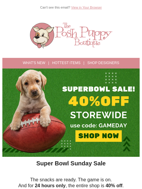 poshpuppyboutique newsletter: Super Bowl Sunday = 40% Off 🏈