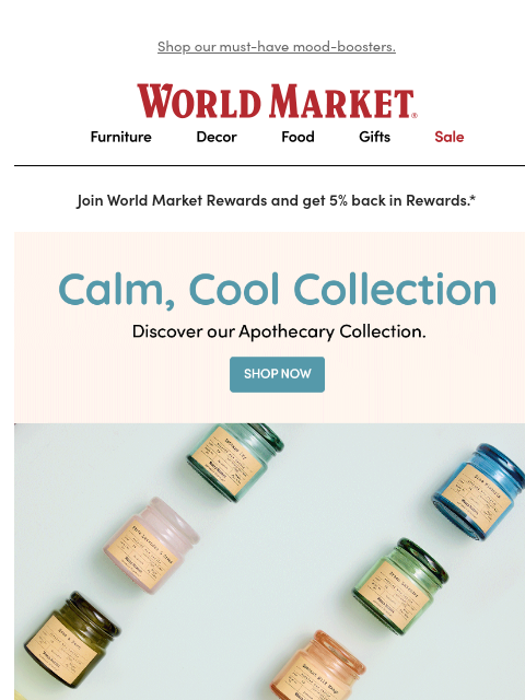 emailworldmarket newsletter: Fun finds for happy times 🥳