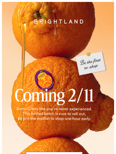 brightland newsletter: Our juiciest launch yet
