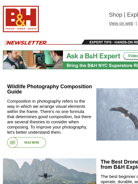 bhphotovideo newsletter: Wildlife Photo Composition, Best Beginner Drones, ...