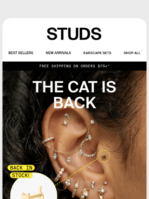 studs newsletter: The cat flatback you love? It’s back 😻