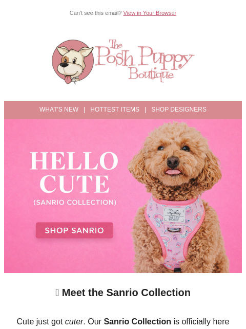 poshpuppyboutique newsletter: Hello Cute 💕 The Sanrio Collection Is Here