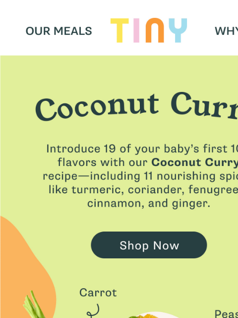 tinyorganics newsletter: 🥕 Expand their palate with Coconut Curry