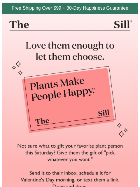 thesill newsletter: For people who are picky (in a good way 😉)
