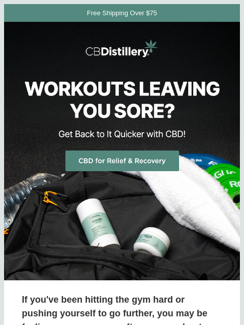 thecbdistillery newsletter: Workouts leaving you sore?
