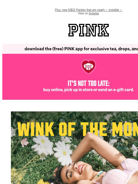 vspink newsletter: These NEW Wink Bras Are Too Good... 😍