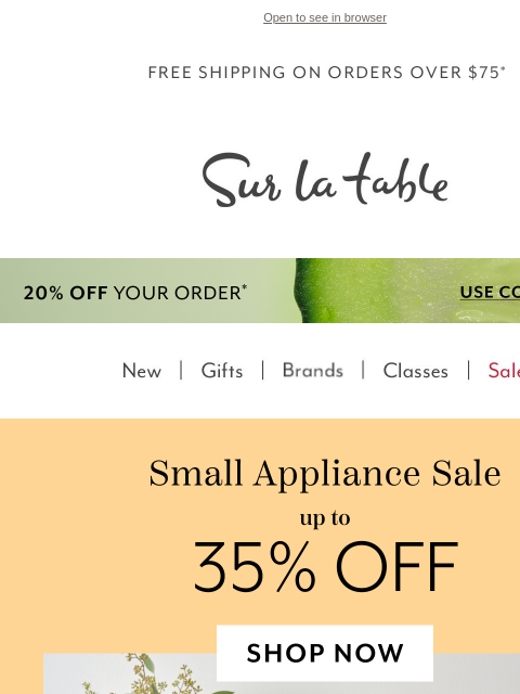 surlatable newsletter: Small Appliances, Big Possibilities (and Deals!)