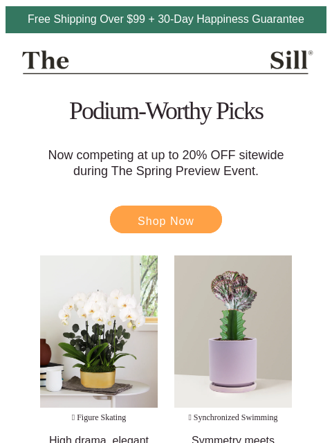 thesill newsletter: Gold-Medal Winners 🥇 Up to 20% Off