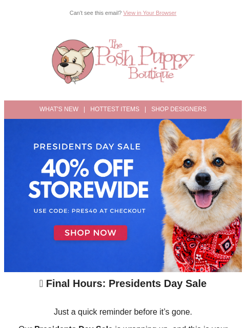 poshpuppyboutique newsletter: Presidents Day Sale Ending Soon ⏰