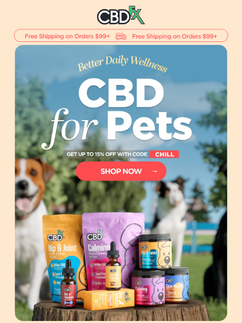 cbdfx newsletter: Improve your pet’s daily life with CBD 🐶🐱