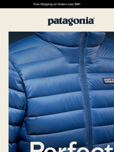 patagonia newsletter: The iconic Down Sweater