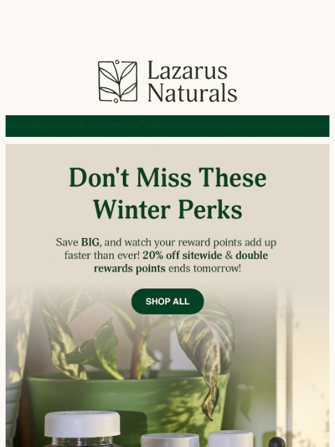 lazarusnaturals newsletter: ⏳2 Days Left: 20% Off + 2X Rewards