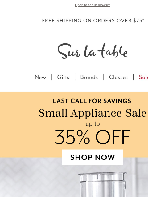 surlatable newsletter: LAST CALL: Small Appliance Savings