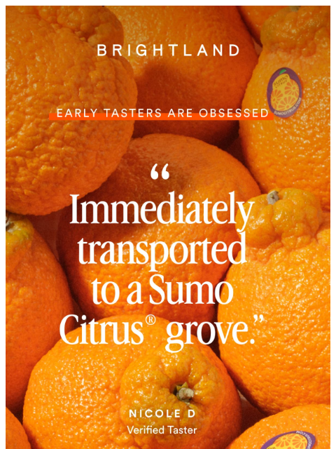 brightland newsletter: Early Tasters Are Obsessed