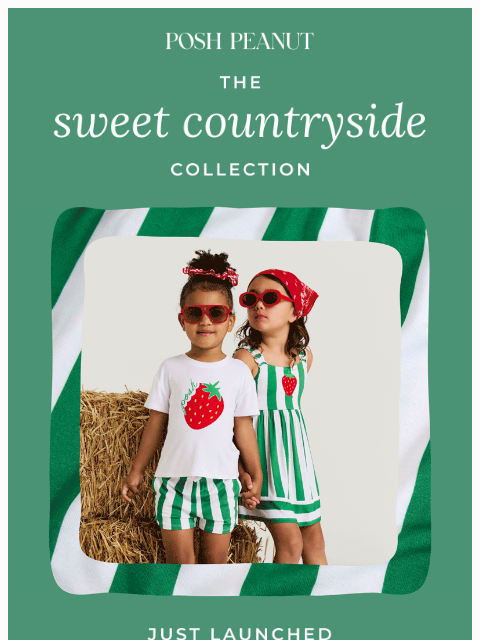 poshpeanut newsletter: 🐓🍓NEW: Sweet Countryside Collection