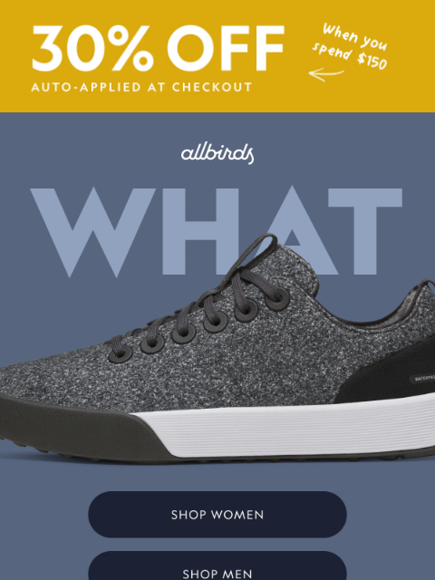 allbirds newsletter: Wild Weather? Wildly Comfortable Shoes.