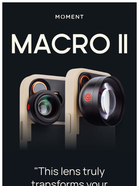 shopmoment newsletter: "Exceptional quality, incredible detail."