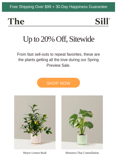 thesill newsletter: Best of Sale ⭐