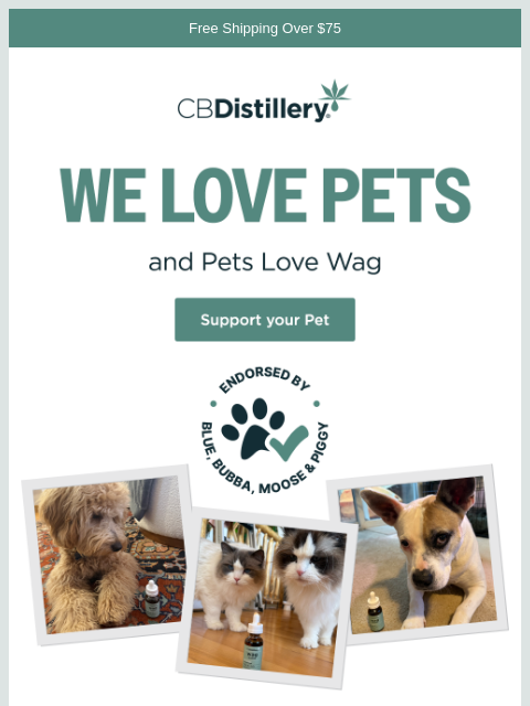 thecbdistillery newsletter: We love pets, and pets love Wag