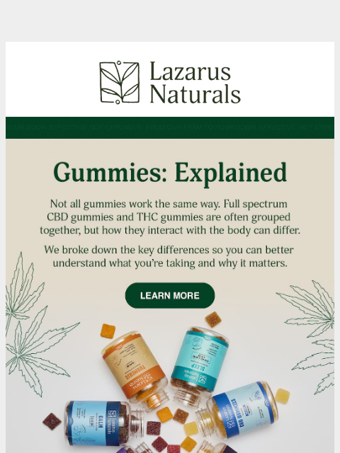 lazarusnaturals newsletter: 🥭 Two Gummy Paths. Which One Fits?