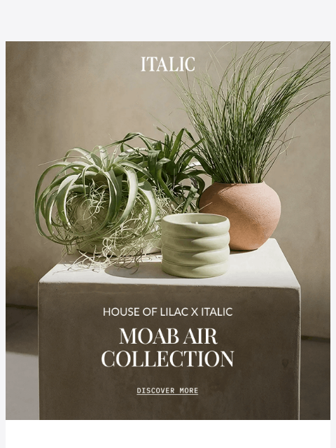italic newsletter: NEW: Desert-Inspired Pottery & Air Plants