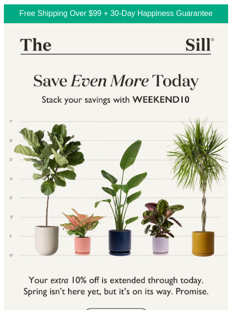 thesill newsletter: 👋, your extra discount still applies