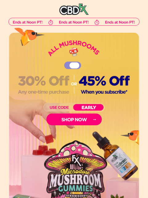 cbdfx newsletter: Last Chance: Up to 45% OFF Mushroom products! 🐦