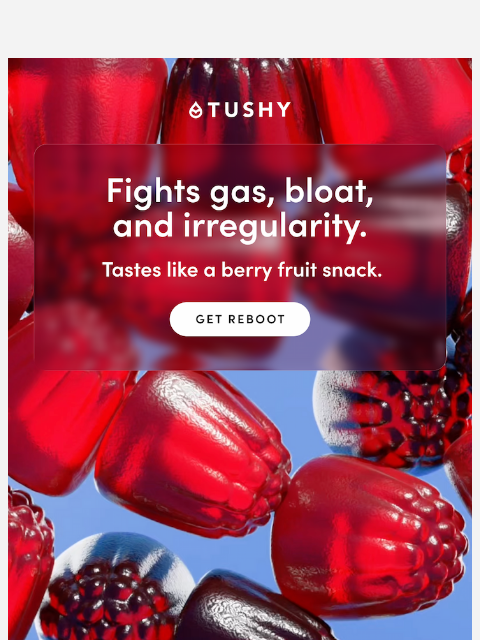 hellotushy newsletter: Backed up? Meet Reboot 🍬