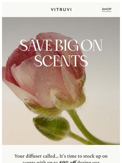 vitruvi newsletter: Save Big On Diffuser Oils + Blends 🌟 Up To 40% Of...