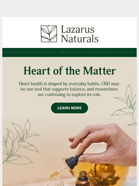 lazarusnaturals newsletter: 🫀 Does CBD Support Your Cardiovascular System?